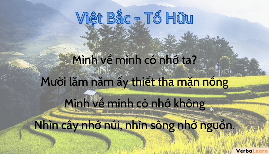 Phân tích bài thơ Việt Bắc - Tố Hữu